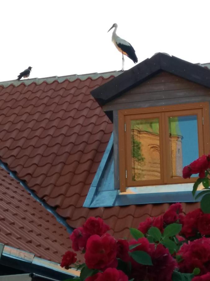 Lauma Apartamento Kuldīga Exterior foto